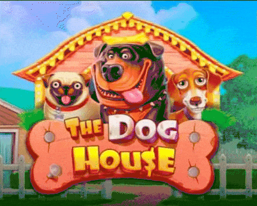 Play The Dog House in Rarawin Casino